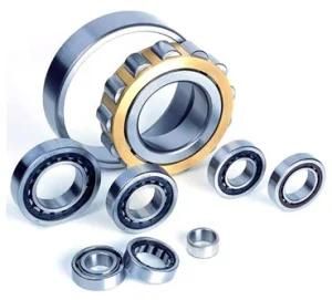Low Price and International Standard Cylindrical Roller Bearings316