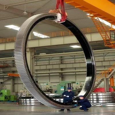 Zys Big Size Slewing Ring Bearing for Construction Machinery