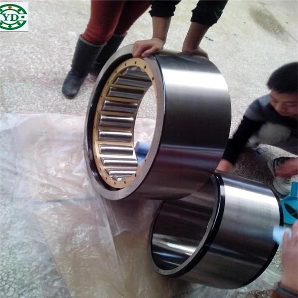 Cylindrical Roller Bearing Bearing Nu308
