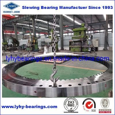 02-2202-00 Amusement Rides Bearing Swing Bearing Slewing Ring Bearing