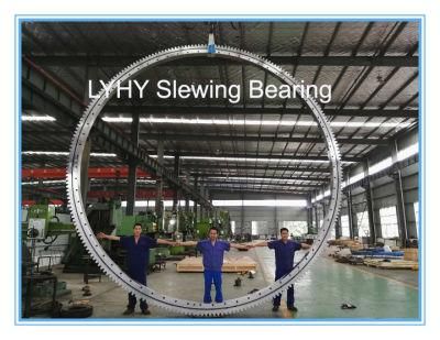 Supply Large Sized Slewing Ring Bearing Turntable Bearing Gear Bearing Ball Slewing Bearing 5.8 Meter