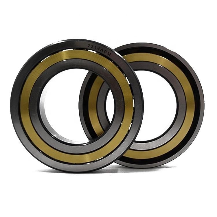 Long Life Angular Contact Ball Bearing Double Row