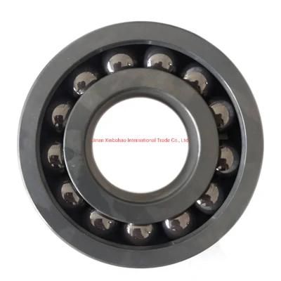 High Temperature and Corrosion Resistant NTN NSK IKO NACHI 6204CE 16001CE 6302CE 694CE Ultra Precision Used on Gym Equipment Ceramic Bearing