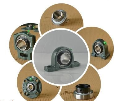 G10 Steel Ball/ Chrome Steel Ball Bearing/Roller Bearings/Pillow Block Bearing/Bearing (ISO certificate)