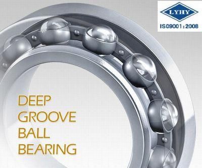 Deep Groove Ball Bearing with Large Dimension (61960)