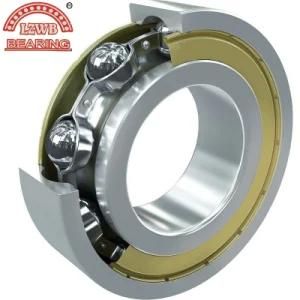 Z1V1 Z2V2 6200 Series Deep Groove Ball Bearing (6238ZZ-6252ZZ)