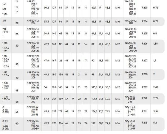 Pillow Block Bearing, Housing Bearing, Bearing Unit, Es205g2, Es205-16, G2g10, Zv2, Zv3, Zv4, P6plus