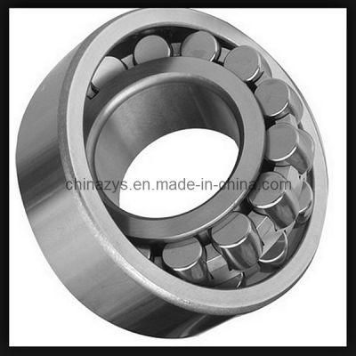 Double Row Self-Aligning Roller Bearing