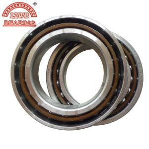 Professional Manufactured Angular Contact Ball Bearing (7012)