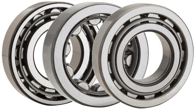 Low Friction Cylindrical Roller Bearings N1080K for Hot Sale
