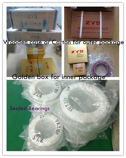 Zys High Quality Insert Units Pillow Block Bearing with Housing UCP206