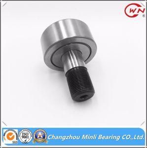 China Needle Roller Bearing Curve Roller Bearing with High Accurancy