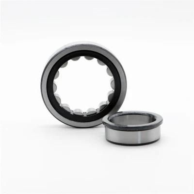 High Precision Motorcycle Parts Auto Parts Single Row Nj Series Cylindrical Roller Bearing Nj1019m Nj1021m