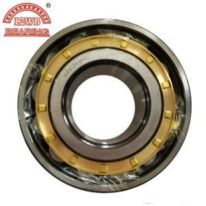 Professional Manufactured Cylinderical Roller Bearing (n322-336)