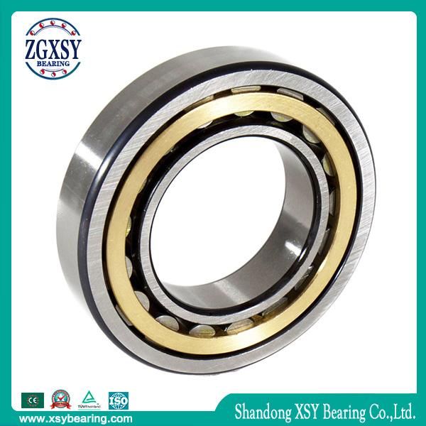 Cylindrical Roller Bearing Nu209m Bearing