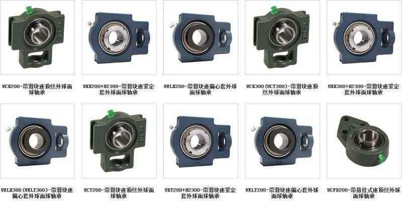 China Bearing Factory Pillow Housing Bearing