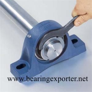 Pillow Block Bearing Unit Sbpft206-20 with Pressed Steel Housing Pft206