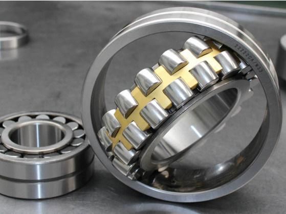 Factory High Precision Double Row Roller Bearing