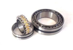Double Row Cylindrical Roller Bearings Nnu41/530K30m/W33 Nnu41/530m/W33 316115 Bc2-8005/Hb1 Nnu41/600m/W33 Bc2b326894/Hb1 Bc2-8074/Ha5