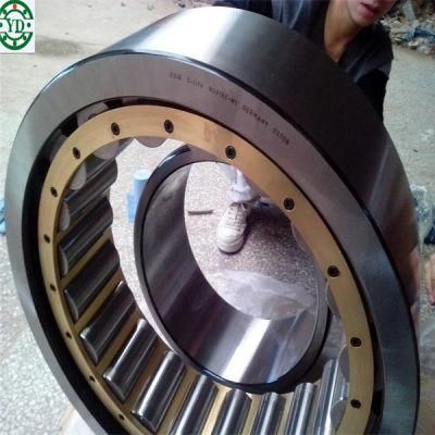 Chrome Steel Inner Ring Single Row Cylindrical Roller Bearing