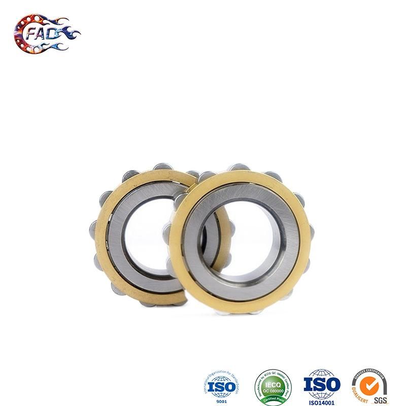 Xinhuo Bearing China Friction Bearing ODM Double Row Angular Contact Bearing Nu326em Cylindrical Roller Bearing
