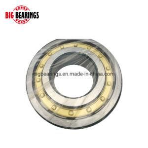 Koyo NSK Timken NTN NACHI Deep Groove Ball Bearing Taper Roller Bearing Angular Contact Ball Bearing Spherical Bearing Cylindrical Bearing