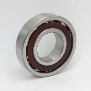Angular Contact Ball Bearings 7204becbm 7204accbm 7304be-2rzp 7304bep 7304becbp 7304becbph 7304begap 7304begbp 7304becbm 7304becby 7304accbm