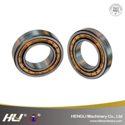 N216EM Railways Shielded Type Cylindrical Roller Bearing with Polyamide/Brass/Steel/Nylon/Bronze Cage