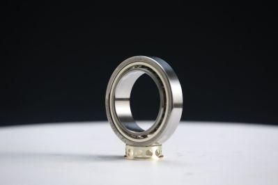 Zys Moving End Bearing Cylindrical Roller Bearing N304/Nu304 with Po, P6, P5, P4, P2 Grade