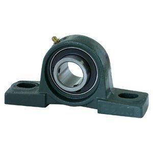 Cast Iron Bearing Housing Mounted Bearing Pillow Block Bearing