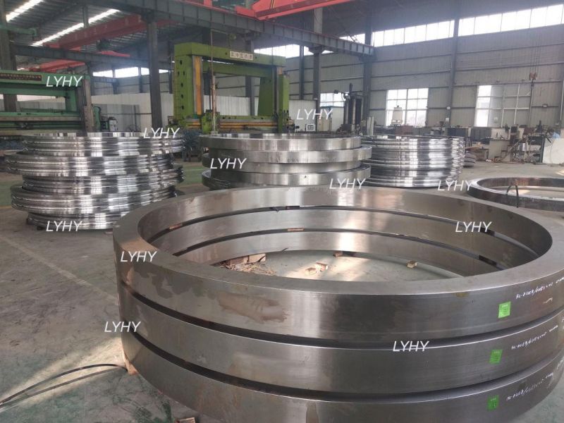 Crossed Roller Swing Bearing 161.36.1800.890.11.1503 Turntable Bearing with External Gear