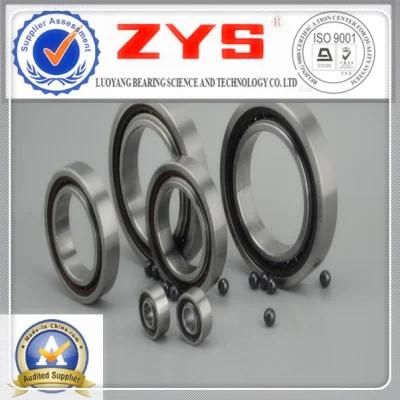 Hybrid Ceramic Ball Bearings in China