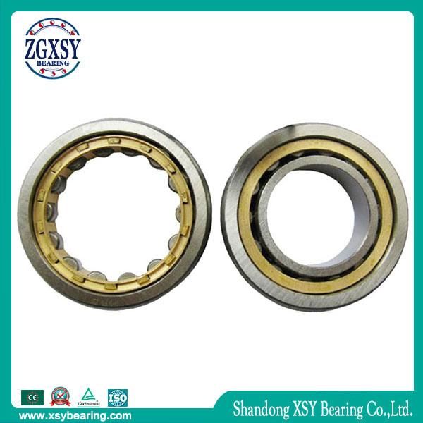 NSK Cylindrical Roller Bearing Nj2211 Nu2211 Nup2211
