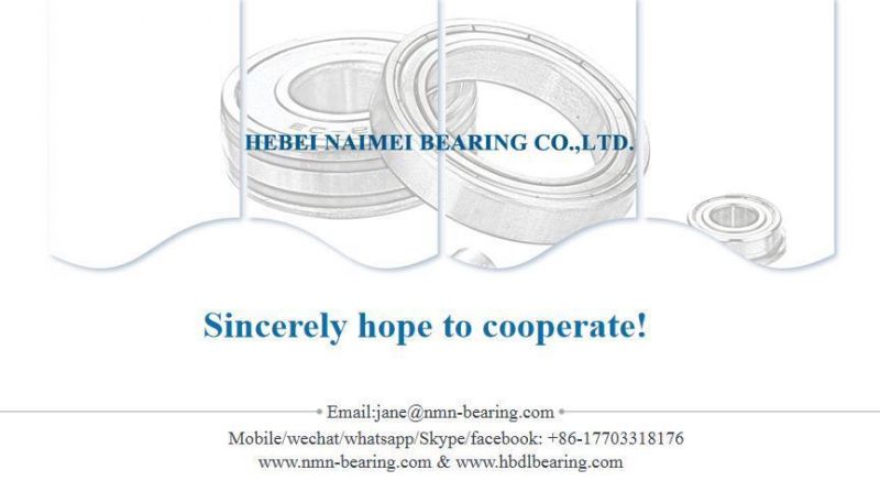 High Speed 6209 6208 6202 6000 6200 6300 6500 6400 Deep Groove Ball Bearing for Auto Parts Ball Bearing