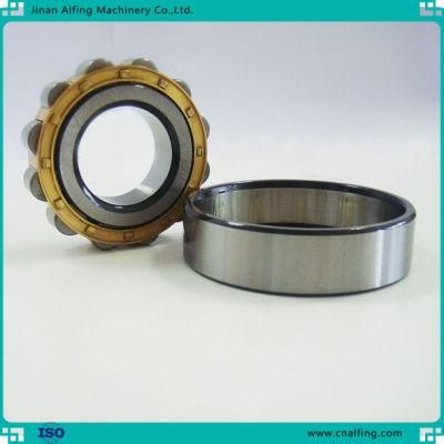 Hot and Cold Processing Program Steel Precision Cylindrical Roller Bearing for Precision Instrument