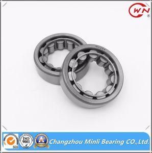 Single-Row Cylindrical Roller Bearing with High Performance Nu204