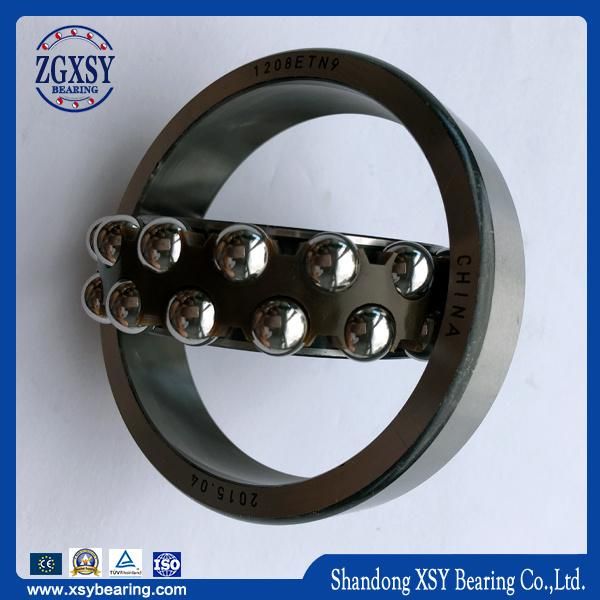 Self-Aligning Ball Bearing 1200series, 1300series, 2200series