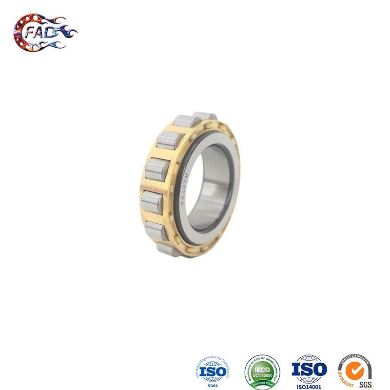 Xinhuo Bearing China Cam Follower Bearing Custom F695zz N328em Shandong Cylindrical Roller Bearing