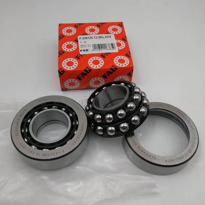 Original Germany Bearing Angular Contact Ball Bearing F-201346 F-202578 F-239495.04 Skl