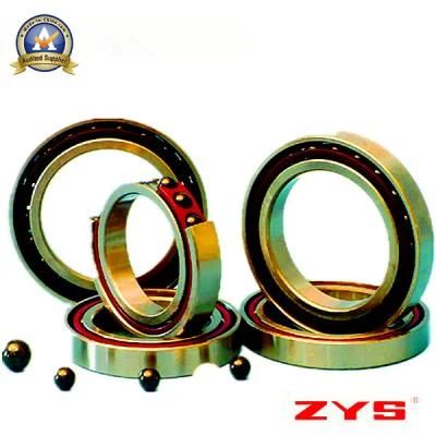 China High Quality Manufacturer Zys Hybrid Ceramic Ball Bearings