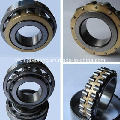 China High Quality Cylindrical Roller Bearing N1006k