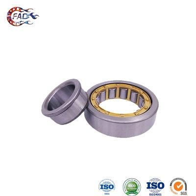 Xinhuo Bearing China Double Row Bearing Product Weldtite Ball Bearings NF305 Axial Cylindrical Roller Bearing