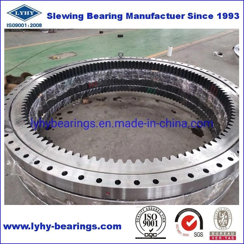 Internal Geared Bearing Slewing Ring Bearing with Single Row Ball Bearing (RKS. 062.20.1094)