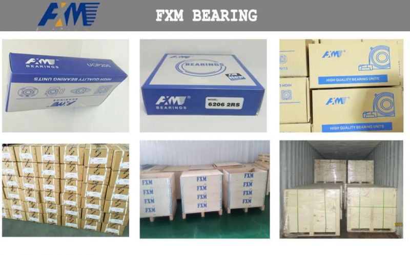 China Bearing Manufacture Directlr Price Pillow Block Bearing (UCP205 UCF206 UCFL207 UCT208 UCFC210) Insert Bearing