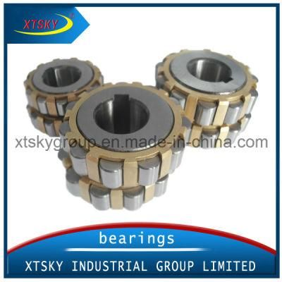 Xtsky Bearing Eccentric Bearing (200752307K)