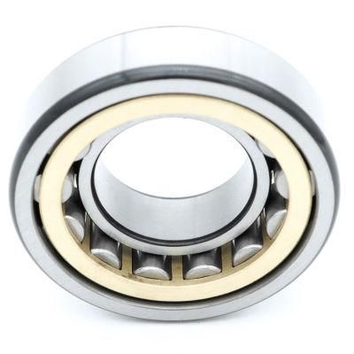 Yoch Nj Series Cylindrical Motorcycle Parts Auto Parts Roller Bearing Nj207 Nj307 Nj407 Nj2207 Nj2307 Ecp