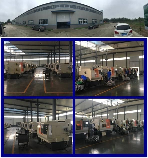 Bearing Manufacturer/Thrust Ball Bearing (51300 series)