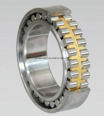Cylindrical Roller Bearing N1048em/Nj1048em/Nu1048em