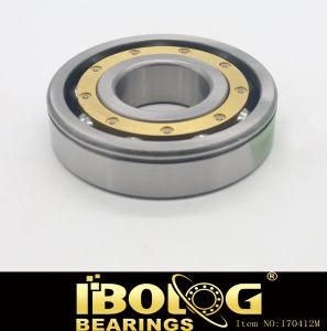 Cylindrical Roller Deep Groove Ball Bearing Iron Sealed Type Model No. 6420