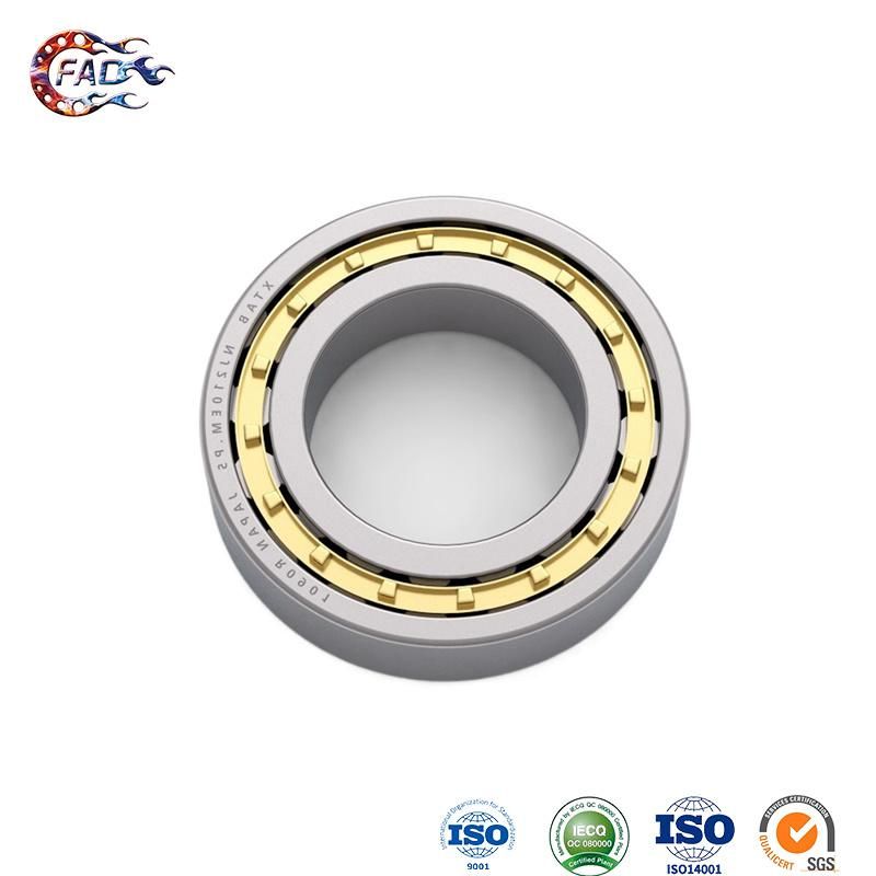 Xinhuo Bearing China 6805 Bearing Suppliers 686 RS Bearing N304e Cylinder Roller Bearing